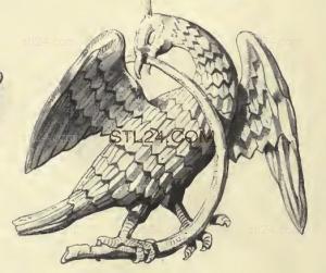 ANIMAL_0093